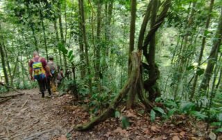 Sumatra Jungle Explore Bukit Lawang