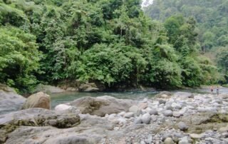 Sumatra jungle in Bukit Lawang