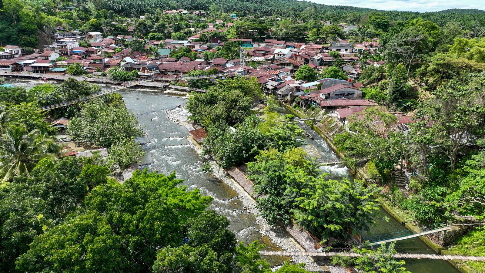 3-hour jungle trekking in Bukit Lawang