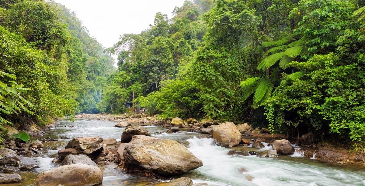 Three-day, two-night jungle trekking tour from Medan to Bukit Lawang, featuring rainforest hiking, wild orangutan watching, overnight jungle camping, and river tubing in Sumatra.