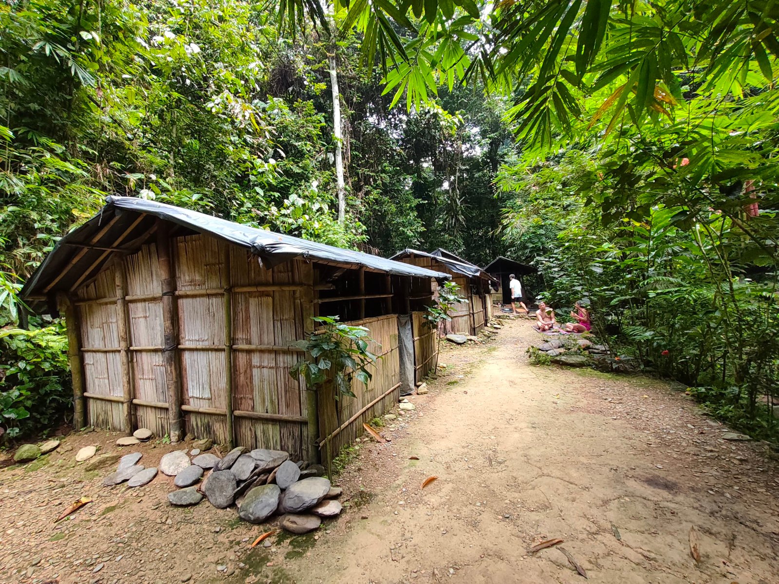 Three-day, two-night jungle trekking tour from Medan to Bukit Lawang, featuring rainforest hiking, wild orangutan watching, overnight jungle camping, and river tubing in Sumatra.