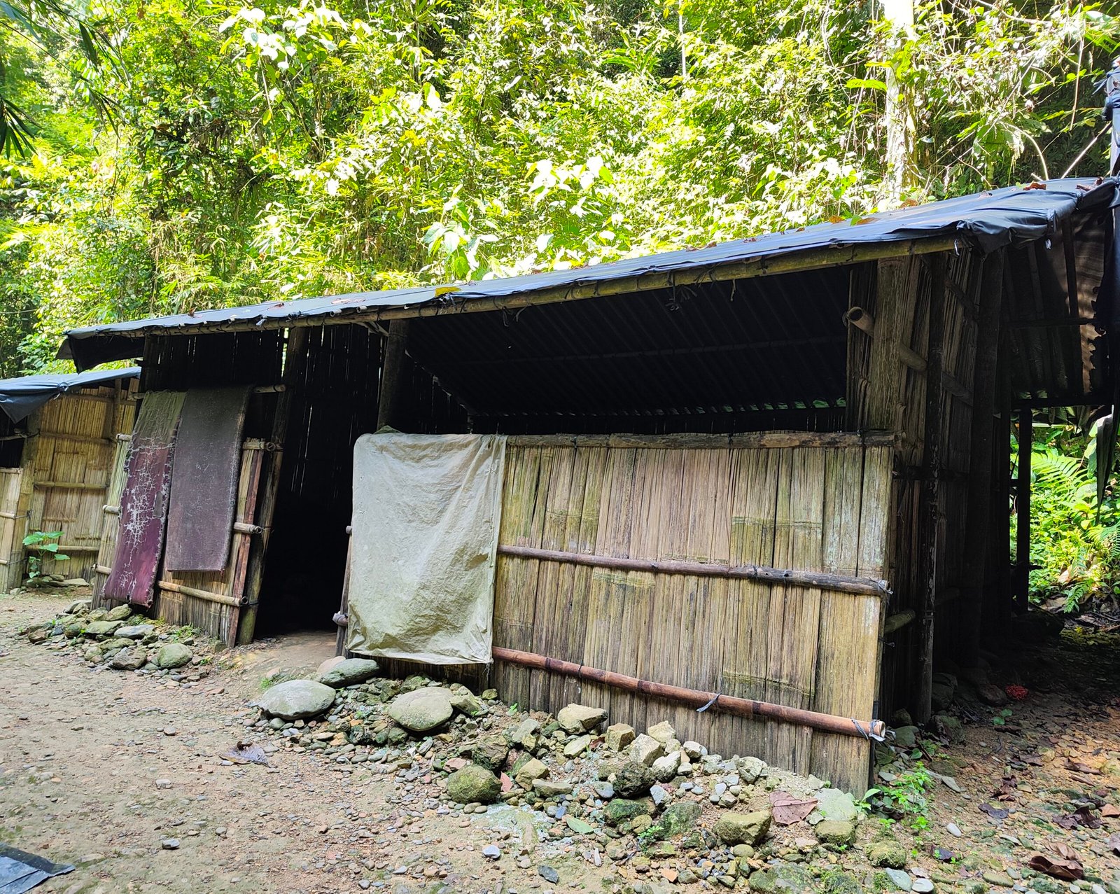 Jungle shelter in the jungle of sumatra in Bukit Lawang Jungle shelter in the jungle of sumatra in Bukit Lawang