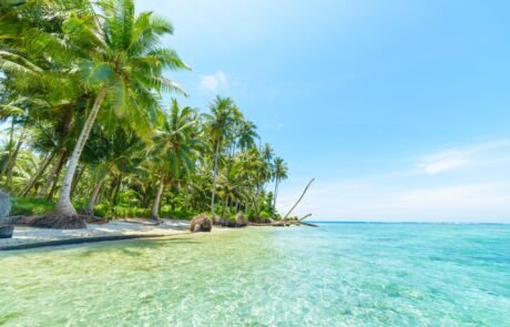 Pulau banyak 1