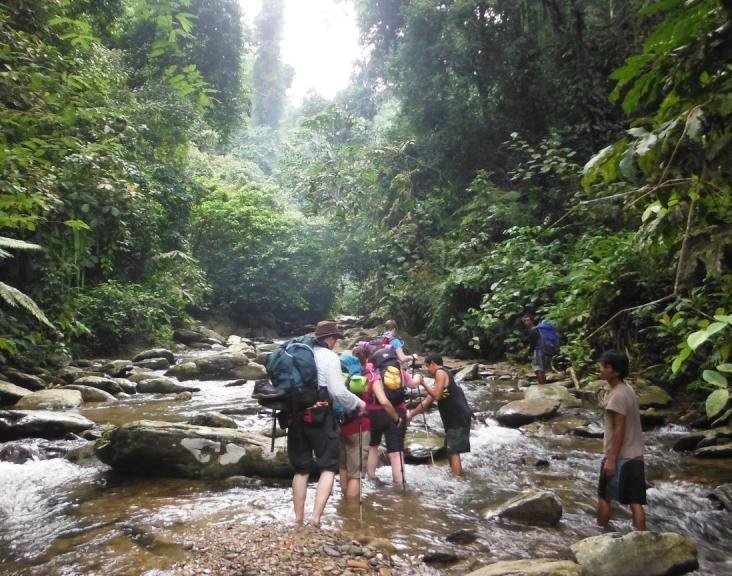 3-hours Trekking in Bukit Lawang